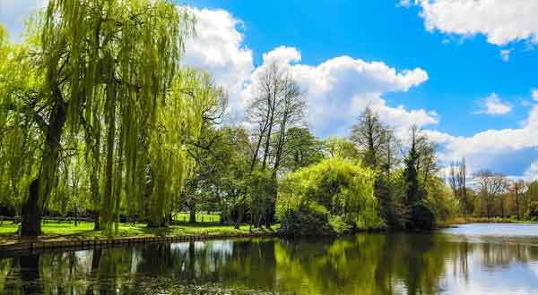 Runnymede, Windsor