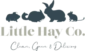 Ecommerce SEO customer Little Hay Co logo, online hay Shop for little animals