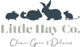 logo-little-hay-co