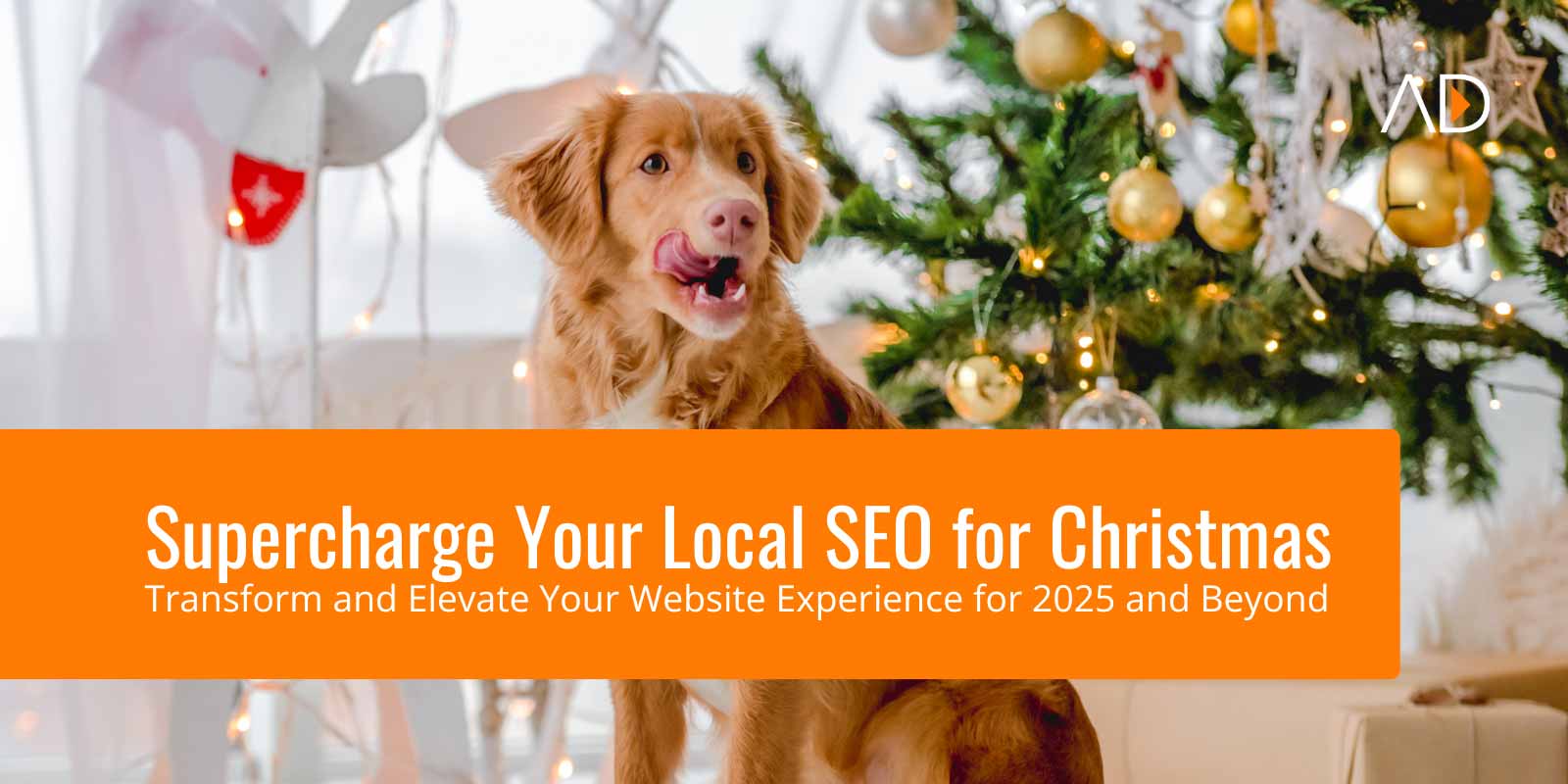 Local SEO Tips for Christmas